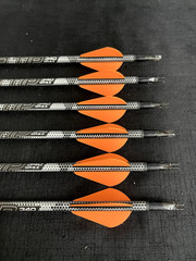 Gold Tip Black Label 340 Hunting Arrow 1/2 dozen 6 Arrows BRAND NEW