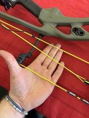 Hoyt RX9 Ultra| 60LB| 28.25-29 DL | Axcel Single Pin Driver | Qad Drop Away