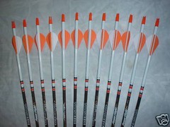 EASTON POWER FLIGHT 340 Carbon Arrows Dip/Crest Orange & White Blazer vanes