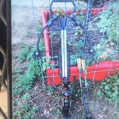 Barnett Wildcat C5 Crossbow Black w/ Scope, 150lb Draw, 320 fps, 3 Bolts