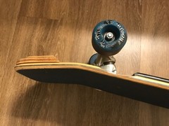 Dog Town Skateboard Bull Dog Design W/Tracker Trucks & wheels Boners Tailwoodys