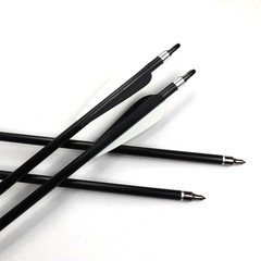 12PCS 30inch Fiberglass Arrows Spine 500 For Compound & Recurve Bows Hunting