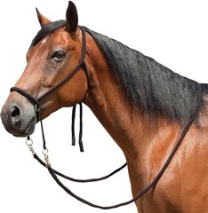 Nylon Bitless Bridle Reins Horse Control Unisex Basic Training Gear