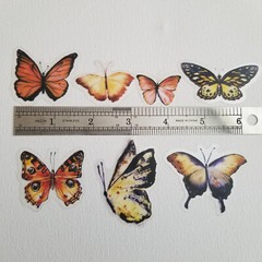 40pcs Clear Transparent Butterfly Sticker Pack For Scrapbooking , Glass Bottle