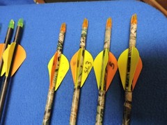 Carbon Max Hunter Arrow Shafts with Fletching and Nocks Redhead Mixed Lot of 12
