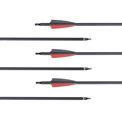 30-70lbs Adjustable Compound Bow 310FPS &30″ Carbon Arrows Hunting Shoot Target