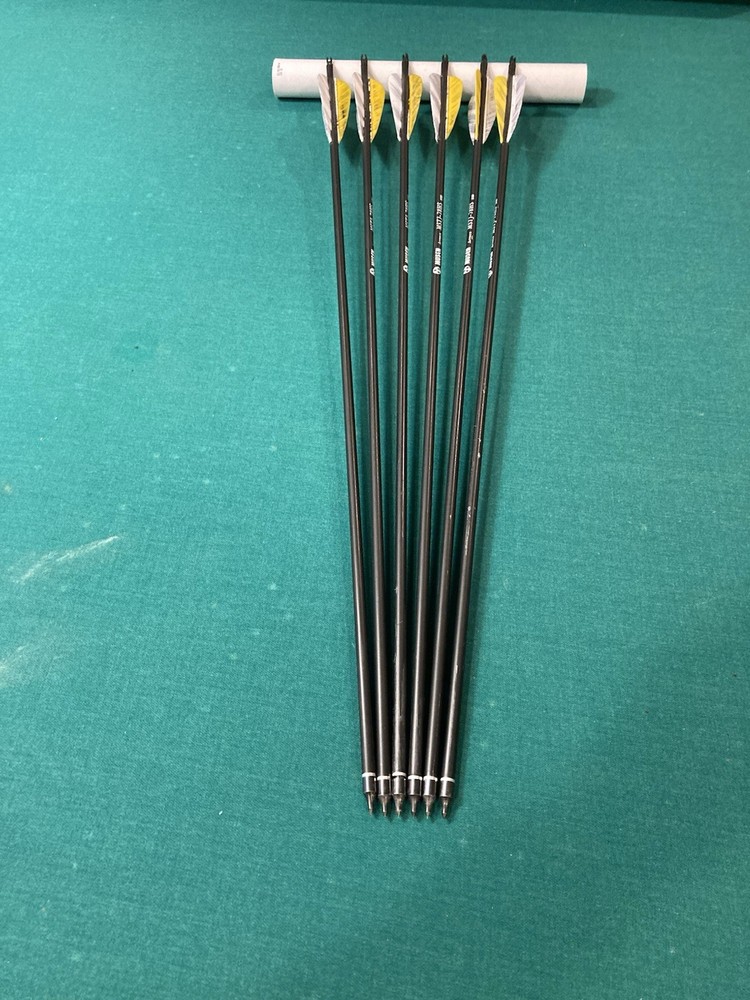 500 Spine Carbon Arrows With 4” Feathers 75 & 100 Grain Points Six PCs