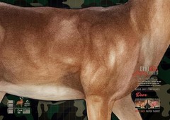 Deer Target 2-Sided Paper 18×26 inches (folded to 6.5×9 inches), Full Color