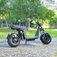 Citycoco 18 Inch Fat Tire Adult Electric Scooter 3000W Motor Max Speed 33MI USA