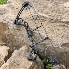 Compound Bow 19-70lbs Adjustable Kit 320fps Archery RH Hunting Shooting Target