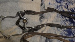 Vintage Leather One Ear Headstall Engraved Cricket Curb Bit Crockett Renalde