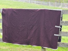 Traditional Wool Horse Cooler 82” Maroon Heavy Square Cut Thick Fits 78–84