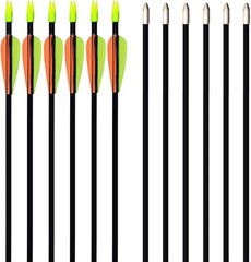 12 Pack 28″ Fiberglass Archery Target Arrows