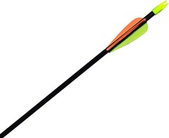 12 Pack 28″ Fiberglass Archery Target Arrows