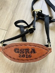 Bronc-Style Horse Halters Rodeo Leather Brass Nosebands GSRA 2016 Custom
