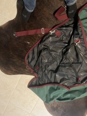 Smartpak Classic Turnout Sheet Size 72” Hunter Green Waterproof