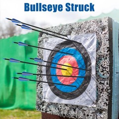 24Pcs 30″ Carbon Archery Arrows, Spine Matched for Hunting & Target Practice …