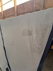 81” Bucas Buzz Off Full Neck Horse Fly Sheet – Used