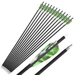 6/12 Pcs Archery Carbon Arrows 500 Spine Practice Hunting Arrows 28/30/31 Inc…