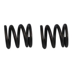 18# Valve Springs Predator 212 Hemi DC_DCS-AN2