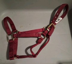 Weaver, Maroon Nylon Halter, Regular Horse, 800lb-1100lb