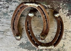 Hand-Forged Pair of 2 Studded Cast Iron Lucky Draft Horseshoes-Farmhouse Decor