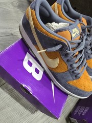 Nike SB Dunk Low Pro Skate Shoes Multicolor US 14 Medium (D, M)