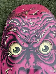 Santa Cruz 11116423 Rob Roskopp 2021 Reissue Skateboard 9.5in X 31in