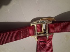 Weaver, Maroon Nylon Halter, Regular Horse, 800lb-1100lb