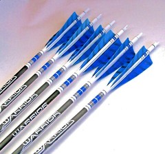 Goldtip warriors arrows for Traditional archery