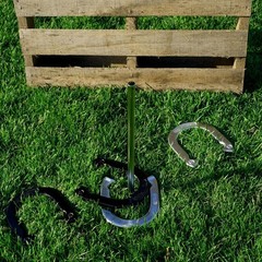 Professional Horseshoe Set with Case 4 Shoes 2 Poles Outdoor Backyard Game