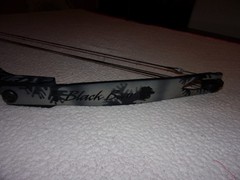 Bear Archery Black Bear Compound Bow NICE