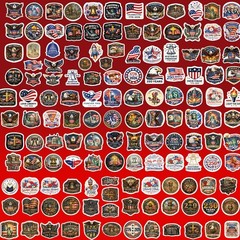 200 Pcs United States 250th Anniversary Stickers – 200 Unique Designs USA Vin…