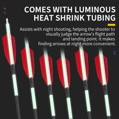 12 Pack Carbon Arrow Practice Hunting Arrow, 30″ Glow in Dark, Detachable Tip