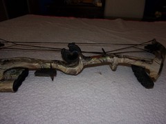 Bear Archery Warrior III Youth Compound Bow NICE
