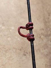 Bowtech Prodigy Rh 60 Lb 29″ Draw TACTIC CBE 3 Pin Bstinger Stabilizer W Sling