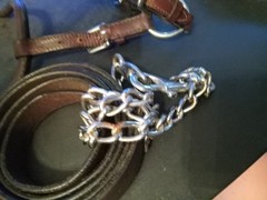 used horse show halter silver