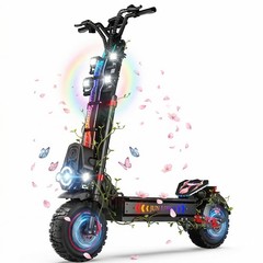 5000W/6000W/10000W Daul Motor, Huge Heavy Duty Electric Off-Road Scooter NFC 60V