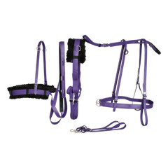LARGE HORSE/DRAFT CROSS SIZE Beginner PURPLE HARNESS made from Beta Biothane