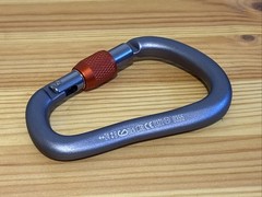 Black Diamond RockLock Screwgate Carabiner (gray)
