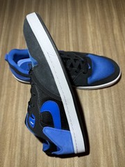 Nike SB Alleyoop Royal Blue Black *NEW* Men’s 11