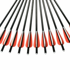 12X Fiberglass Crossbow Bolts Hunting Arrows For Shooting Practice Flat Nocks US