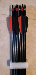 10 Fiberglass 30″ Inch Arrows and Matching Red Black Telescopic Quiver