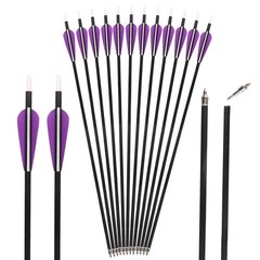Archery Compound Bow 19-70LBS Left Hand &Arrows for Adult Adjustable Hunting Bow