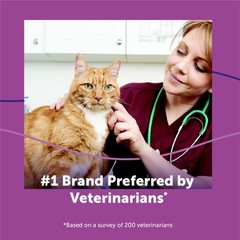 Feliway Classic Cat Calming Diffuser Refill 1 Pack 30 Day Cat Pheromone