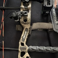 Bear Species Compound Bow, Camo Case, Stinger Release, QAD Ultrarest Hunter Rest
