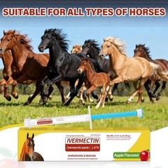 10 Pack In Box Paste Horse Dewormer Apple Flavor wormer