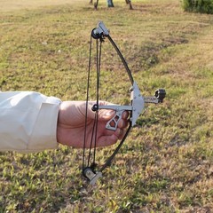 Mini Compound Bow Metal Material Compound Bow Decoration Palm Bow Toy