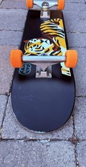 Almost Skateboards John Dilo Animals Complete Skateboard Independent Bones Swiss