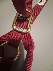 Weaver, Maroon Nylon Halter, Regular Horse, 800lb-1100lb